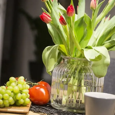 Apartments Floriańska 24 Kraków Zewnętrze zdjęcie